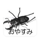 スマホの上のヒラタクワガタ2（個別スタンプ：24）