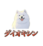 犬味 ダイオキシン（個別スタンプ：1）