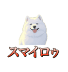 犬味 ダイオキシン（個別スタンプ：4）