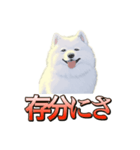 犬味 ダイオキシン（個別スタンプ：5）