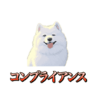犬味 ダイオキシン（個別スタンプ：7）