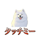犬味 ダイオキシン（個別スタンプ：8）