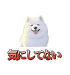 犬味 ダイオキシン（個別スタンプ：10）