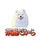 犬味 ダイオキシン（個別スタンプ：11）
