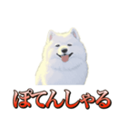 犬味 ダイオキシン（個別スタンプ：13）