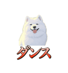犬味 ダイオキシン（個別スタンプ：14）
