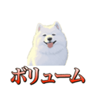 犬味 ダイオキシン（個別スタンプ：18）