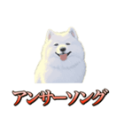 犬味 ダイオキシン（個別スタンプ：20）