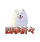 犬味 ダイオキシン（個別スタンプ：21）