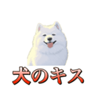犬味 ダイオキシン（個別スタンプ：22）