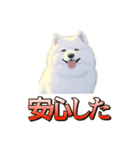 犬味 ダイオキシン（個別スタンプ：23）