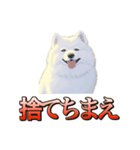 犬味 ダイオキシン（個別スタンプ：25）