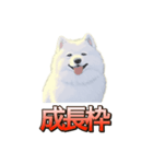 犬味 ダイオキシン（個別スタンプ：27）