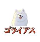 犬味 ダイオキシン（個別スタンプ：28）