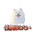 犬味 ダイオキシン（個別スタンプ：32）