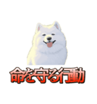 犬味 ダイオキシン（個別スタンプ：33）