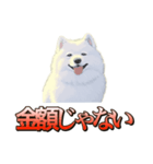 犬味 ダイオキシン（個別スタンプ：34）