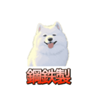 犬味 ダイオキシン（個別スタンプ：36）