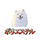 犬味 ダイオキシン（個別スタンプ：37）