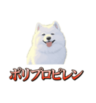 犬味 ダイオキシン（個別スタンプ：38）