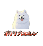 犬味 ダイオキシン（個別スタンプ：39）