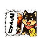 柴たまともこぴのわくわくスタンプ（個別スタンプ：2）