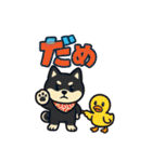 柴たまともこぴのわくわくスタンプ（個別スタンプ：5）