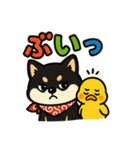 柴たまともこぴのわくわくスタンプ（個別スタンプ：6）