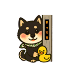 柴たまともこぴのわくわくスタンプ（個別スタンプ：14）