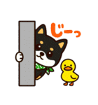 柴たまともこぴのわくわくスタンプ（個別スタンプ：16）