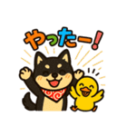 柴たまともこぴのわくわくスタンプ（個別スタンプ：19）