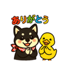 柴たまともこぴのわくわくスタンプ（個別スタンプ：20）