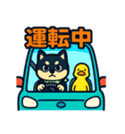 柴たまともこぴのわくわくスタンプ（個別スタンプ：24）