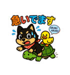 柴たまともこぴのわくわくスタンプ（個別スタンプ：28）