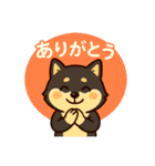 柴たまともこぴのわくわくスタンプ（個別スタンプ：29）