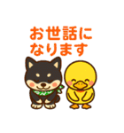 柴たまともこぴのわくわくスタンプ（個別スタンプ：31）