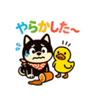 柴たまともこぴのわくわくスタンプ（個別スタンプ：33）