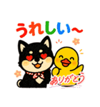柴たまともこぴのわくわくスタンプ（個別スタンプ：34）