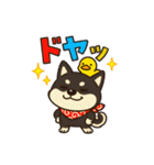 柴たまともこぴのわくわくスタンプ（個別スタンプ：35）