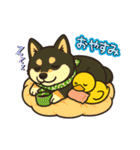 柴たまともこぴのわくわくスタンプ（個別スタンプ：39）