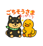 柴たまともこぴのわくわくスタンプ（個別スタンプ：40）