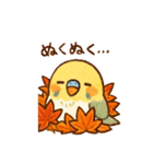 セキセイインコ 秋の日常（個別スタンプ：2）