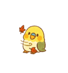 セキセイインコ 秋の日常（個別スタンプ：7）