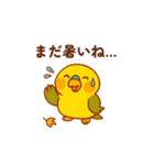 セキセイインコ 秋の日常（個別スタンプ：32）