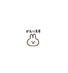 ◉ちっこい◉うさぎ◉（個別スタンプ：40）