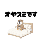 カワウソ好きのペンギン（個別スタンプ：1）