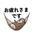 カワウソ好きのペンギン（個別スタンプ：13）