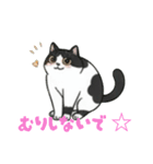 ハチワレMIRU3（個別スタンプ：5）