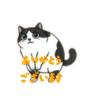 ハチワレMIRU3（個別スタンプ：8）
