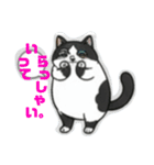 ハチワレMIRU3（個別スタンプ：12）
